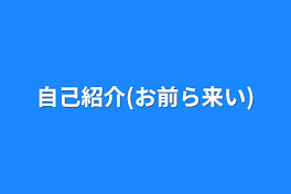 自己紹介(お前ら来い)