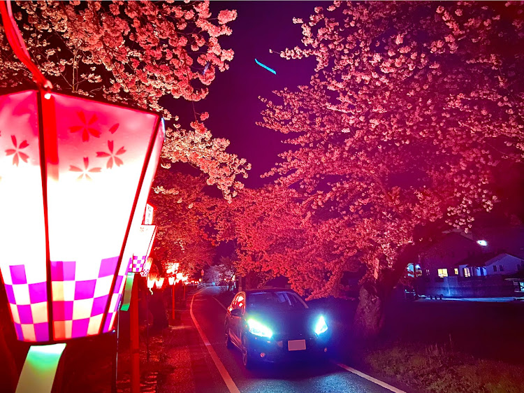 208のプジョー・桜・桜とコラボ・夜桜・iPhone11に関するカスタム事例の投稿画像3枚目
