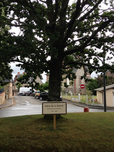 Arbre De La Liberté 