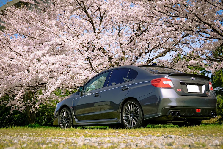 WRX S4のサクラと愛車・桜とコラボ・富山県・カメラの練習に関するカスタム事例の投稿画像2枚目