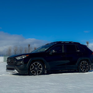 RAV4 MXAA54