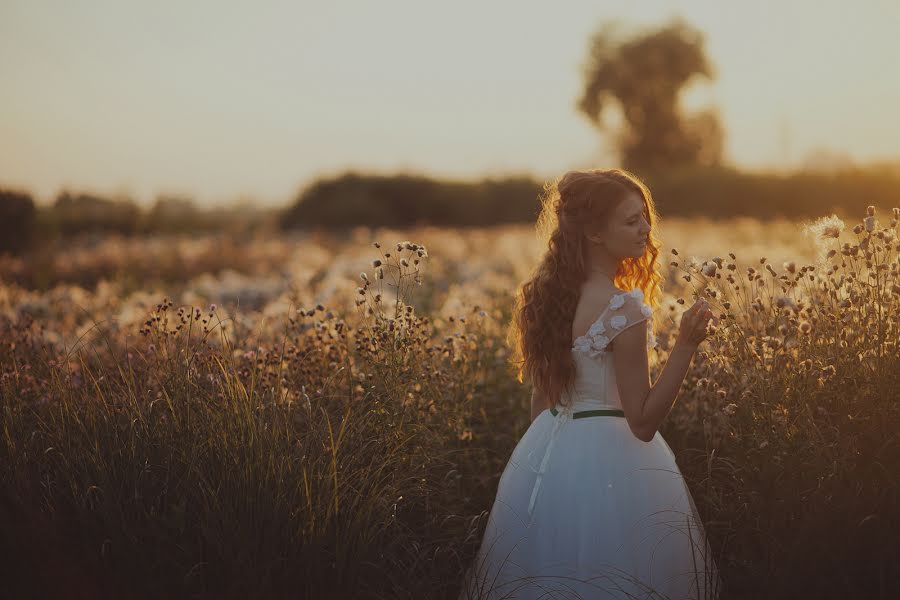 Wedding photographer Alisa Ryzhaya (alisa-ryzaa). Photo of 18 January 2014