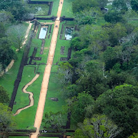 Confini tra il verde di Fioredimare