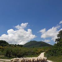 Passo dopo passo di 