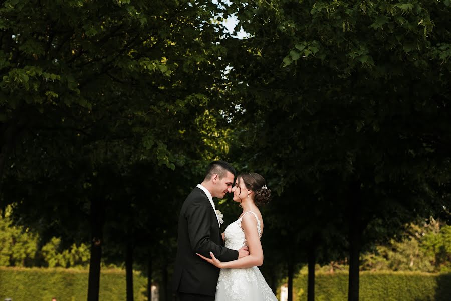 Photographe de mariage Foto Pavlović (mirnapavlovic). Photo du 7 novembre 2019