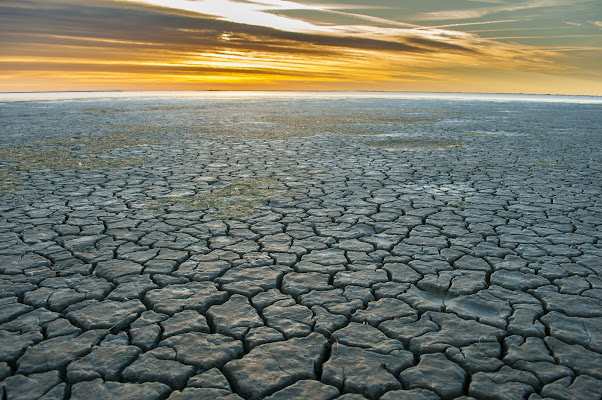 La rindondanza della natura di Nuriger