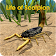 Life of Scorpion icon