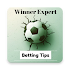 Winner Expert - Football Betting Tips1.13