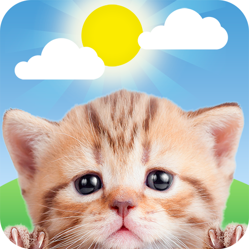 Weather Kitty - Forecast, Radar & Cat Pictures