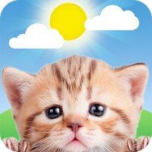 Weather Kitty - Forecast, Radar & Cat Pictures Download on Windows