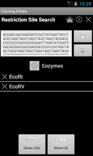 Cloning Kitten(圖1)-速報App