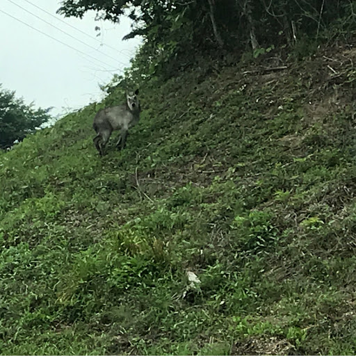 kのプロフィール画像