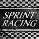 Sprint Racing Download on Windows