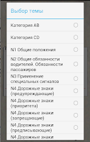 ГАИ Экзамен  Lite Screenshot
