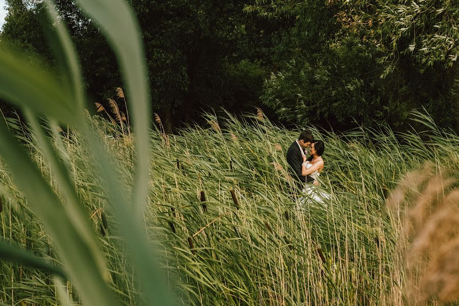 結婚式の写真家Jiri Sipek (jirisipek)。2017 7月27日の写真