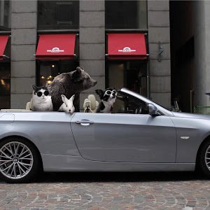 335i Cabriolet