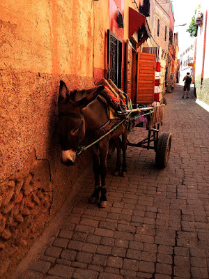 Marrakech  di chiara cerasaro