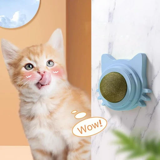 Catnip Balls That Stick On Wall Duck Catnip Wall Balls For Cats Cat Bite Lick Chew Toys Catnip Roller Ball Cat Treat Bal