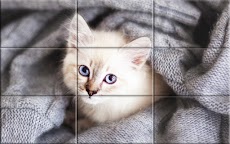 子猫 -  パズルのおすすめ画像4