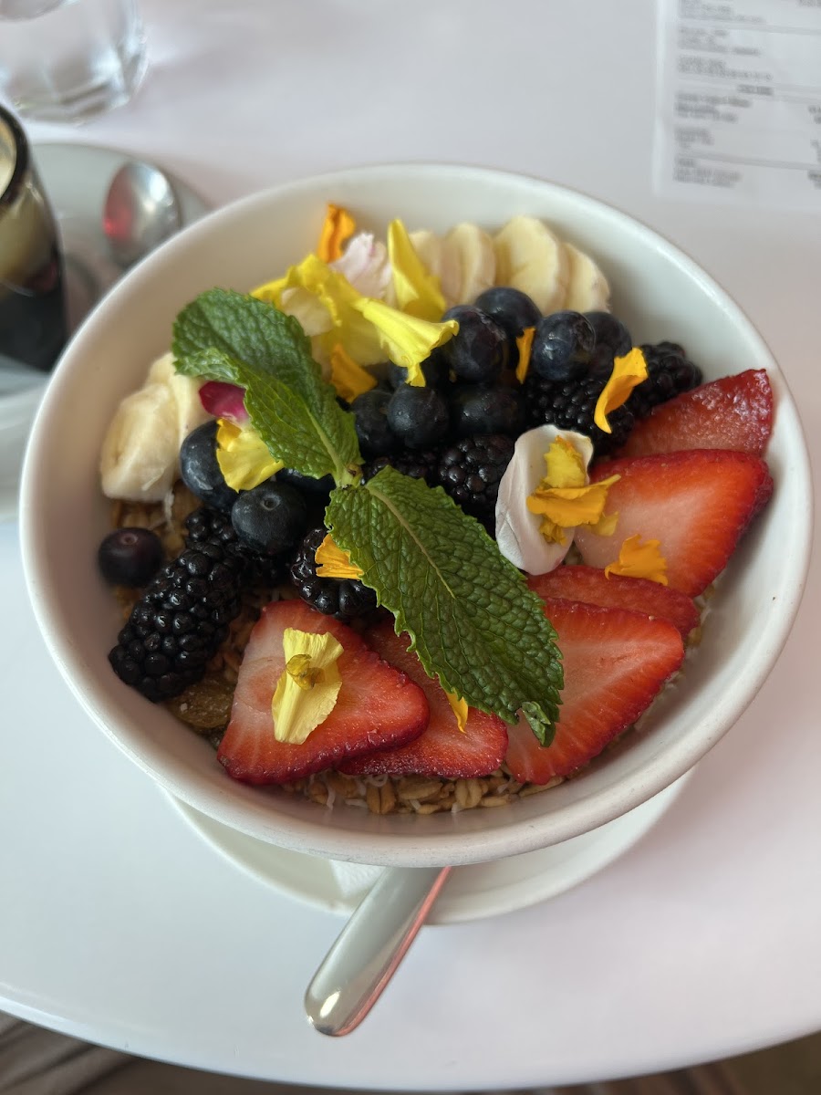 Greek yogurts bowl with gf granola.