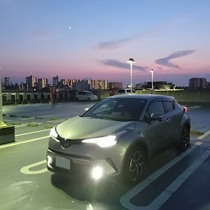 C-HR ZYX10