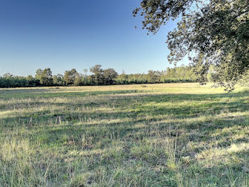 terrain à Roquefort (40)