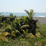 Cijin Beach in Kaohsiung, Taiwan in Kaohsiung, Taiwan 