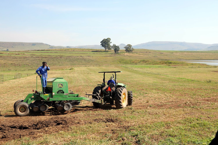 Black farmers were especially hard hit during the Covid-19 pandemic.