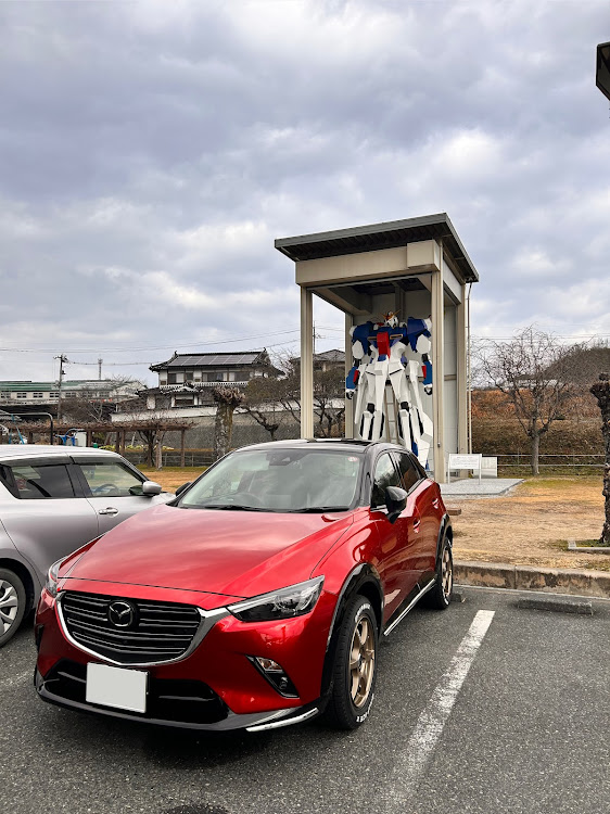 ロードスターの2年に一度の胃カメラ検診😂・新年会ロス😁😁😁・元気なうちにしっかり遊ばにゃ〜に関するカスタム事例の投稿画像5枚目