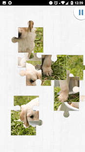 Kinderpuzzle Hundewelpen(圖8)-速報App