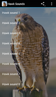 How to install Hawk Sounds patch 1.0 apk for laptop