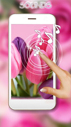 Spring Tulips live wallpaper