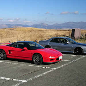 NSX NA1