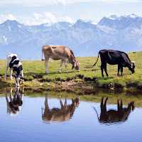 Trio montano di 