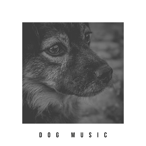 peaceful-music-for-dogs-youtube-music
