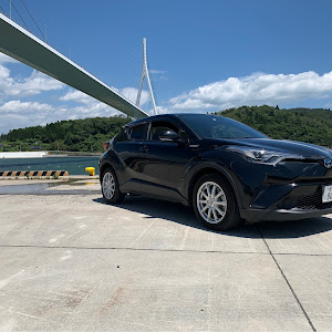 C-HR ZYX10