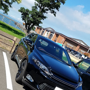 ハリアー