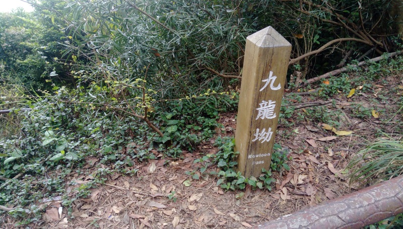 獅子山九龍坳