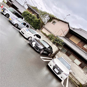 ヴィッツ