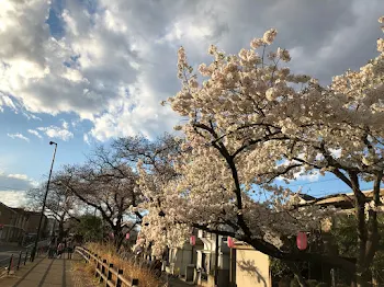 アンケート