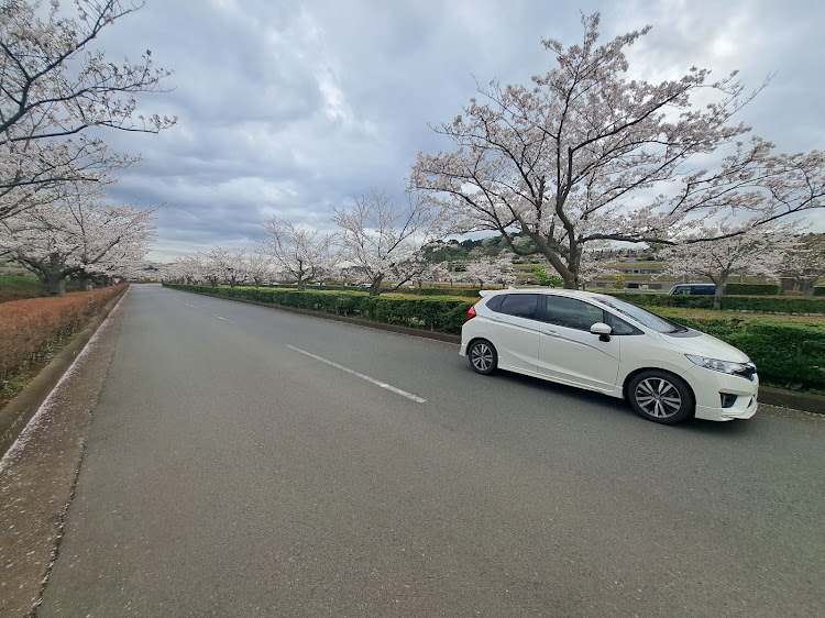 フィットの2023年の写真・今年1年ありがとうございましたに関するカスタム事例の投稿画像22枚目