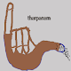 Tharpanam Install on Windows