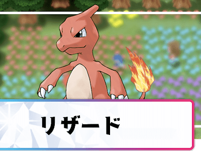 200以上 リザード ポケモン 272185-リザード ポケモン ぬいぐるみ