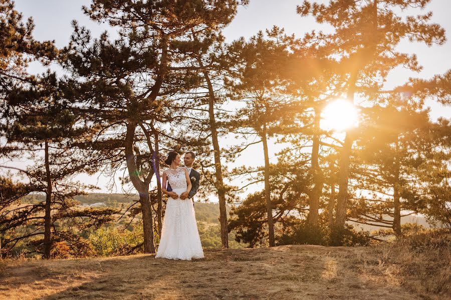 Hochzeitsfotograf Tamás Renner (tamasrenner). Foto vom 8. Juli 2022