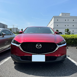 CX-30