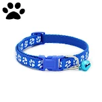 Blue Paws