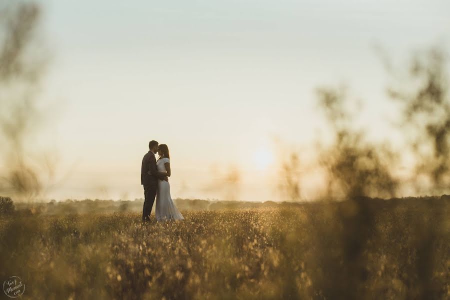 Hochzeitsfotograf Daria Wiroślak (wiroslakp). Foto vom 25. Februar 2020