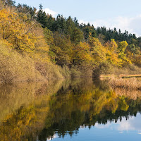 Poesia d'autunno di 