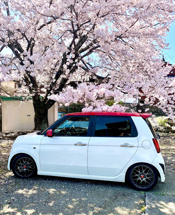 N-ONEの🌸桜の季節に関するカスタム事例の投稿画像1枚目