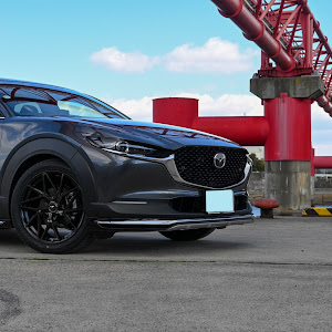 CX-30 DM8P